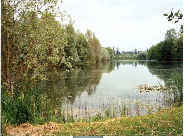 dsc007[1]